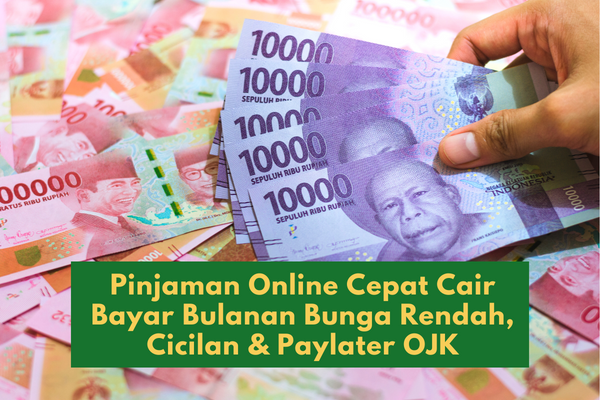 Pinjaman Online Cepat Cair Bayar Bulanan Bunga Rendah, Cicilan & Paylater OJK